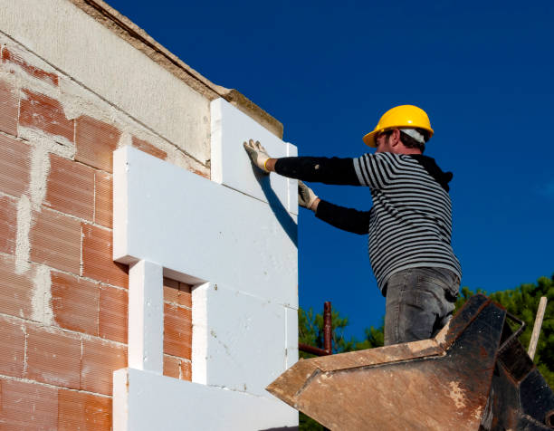 Best Residential Insulation in Island Walk, FL