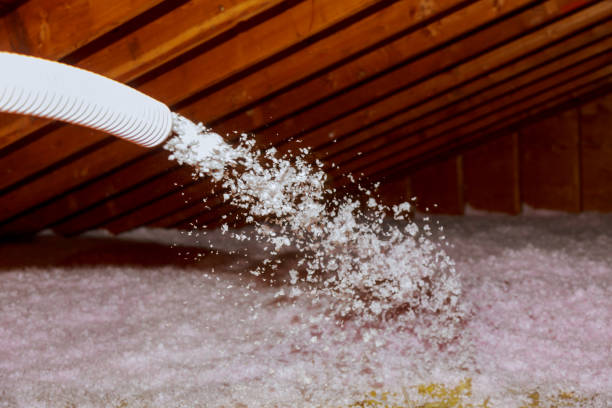  Island Walk, FL Insulation Contractor Pros