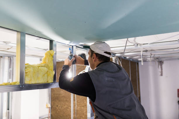 Best Blown-in Insulation in Island Walk, FL