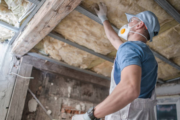 Best Cellulose Insulation in Island Walk, FL