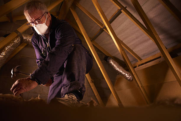 Best DIY Insulation Kits and Guidance in Island Walk, FL