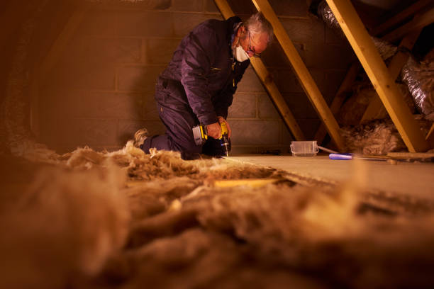 Types of Insulation We Offer in Island Walk, FL