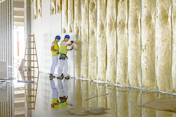 Best Energy Efficiency Insulation in Island Walk, FL